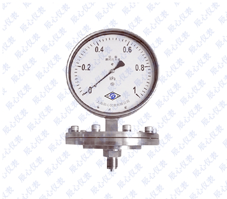 不鏽鋼膜（mó）片（piàn）（耐震）壓力表