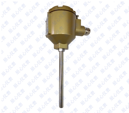 保（bǎo）護管型（xíng）熱電偶熱電（diàn）阻