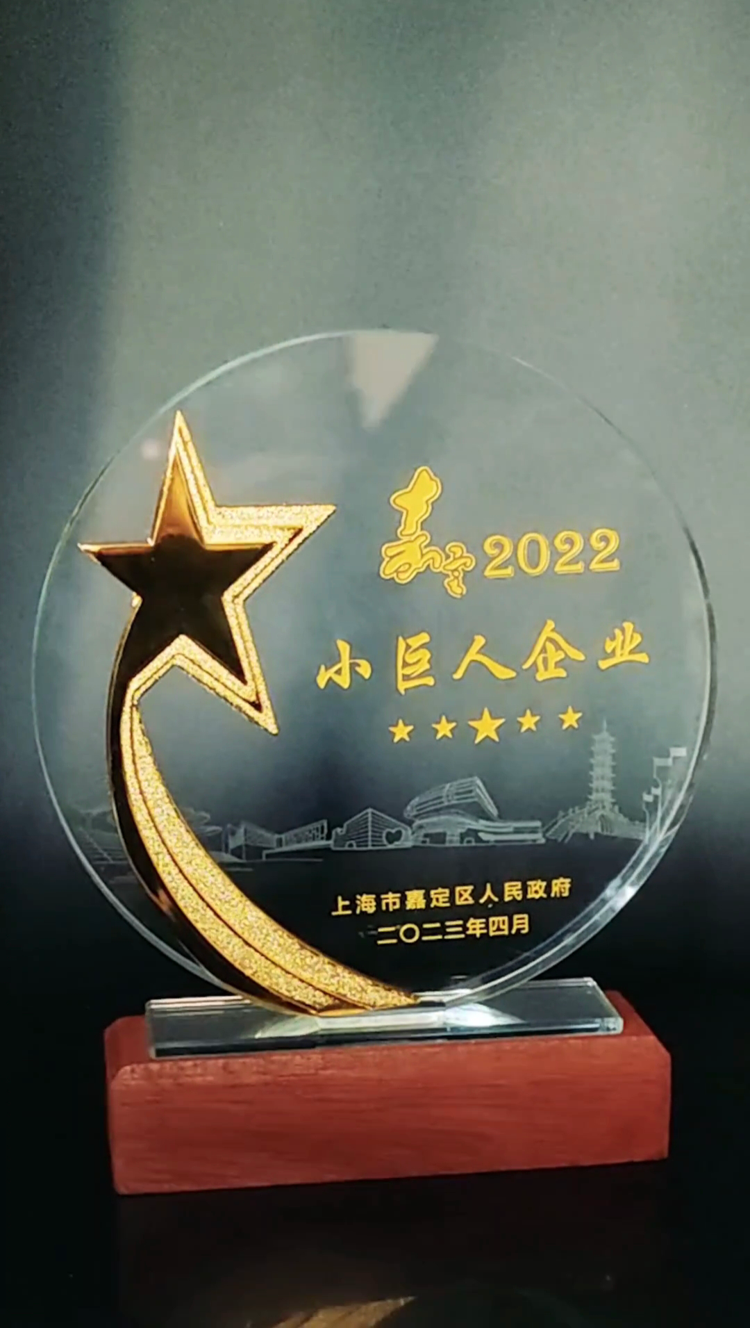 公司喜獲小巨人企（qǐ）業和創新發展先鋒企業稱號